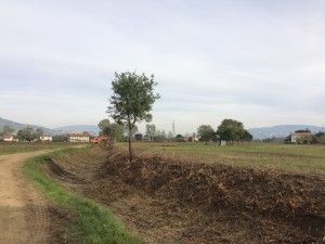IMG_5318